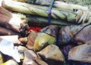Tunuha, Dari Tanah Muna untuk Warisan Budaya Dunia