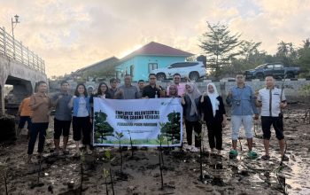 BPJS Ketenagakerjaan Sultra Gelar Employee Volunteering Go Green, Wujudkan Pesisir Hijau