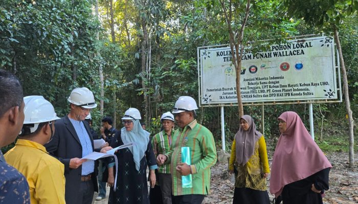 Kebun Raya UHO jadi Nilai Plus dalam Visitasi Akreditasi Internasional Prodi Kehutanan