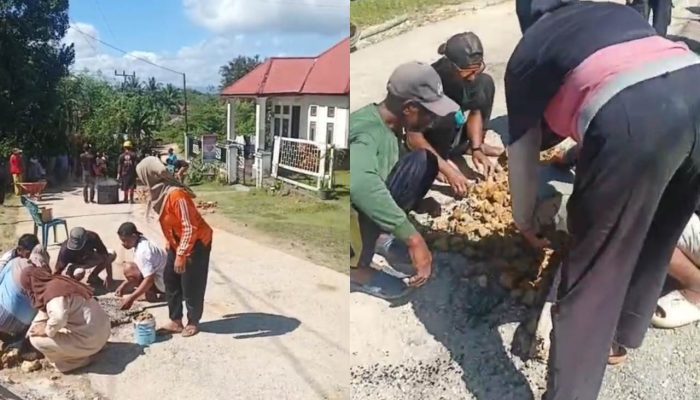 Warga Desa Lasunapa Swadaya Perbaiki Jalan, Emak-emak Telibat, Kadis PMD Muna Mengapresiasi