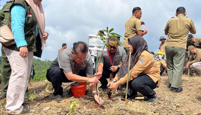 PT DSSP Power Kendari Serahkan Kawasan Rehabilitasi DAS Seluas 32 Hektare kepada Negara melalui Kementerian Kehutanan