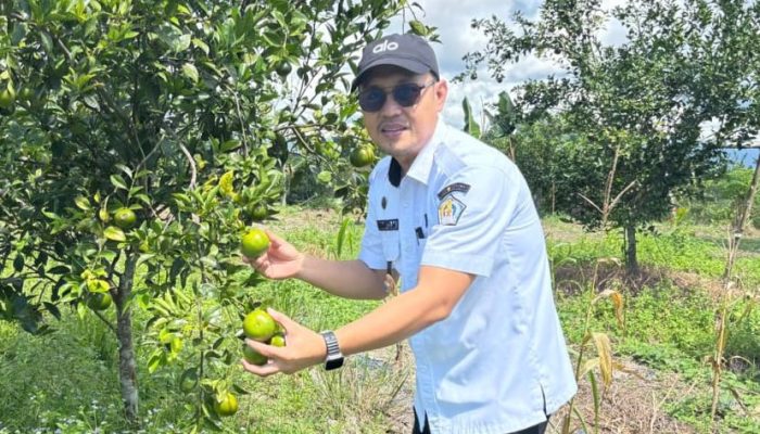TMI Kendari Sampaikan Ucapan Selamat dan Dukung Sudaryono Pimpin BGN