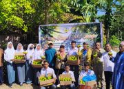AMI dan Pemprov Sultra Sukses Hidupkan Kembali Jeruk Siompu, Masyarakat dan Siswa di Biwinapada Panen Raya