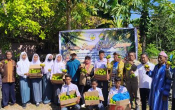 AMI dan Pemprov Sultra Sukses Hidupkan Kembali Jeruk Siompu, Masyarakat dan Siswa di Biwinapada Panen Raya