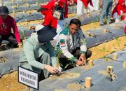 Wali Kota Kendari Gerakkan Penanaman 1.000 Pohon Cabai, Manfaatkan Pekarangan untuk Kendalikan Inflasi