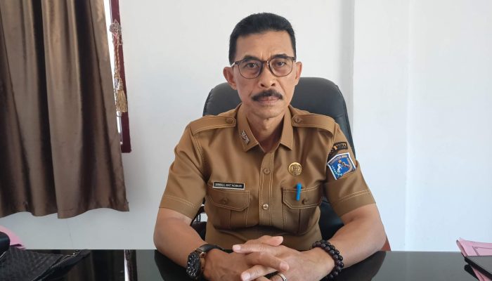 Ayam Petelur Berkembang Pesat di Muna, Kadis Peternakan : Harga Anjlok dan Pakan Mahal