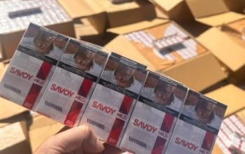 Bea Cukai Kendari Amankan 838 Ribu Batang Rokok Ilegal, Selamatkan Potensi Kerugian 822,1 Juta