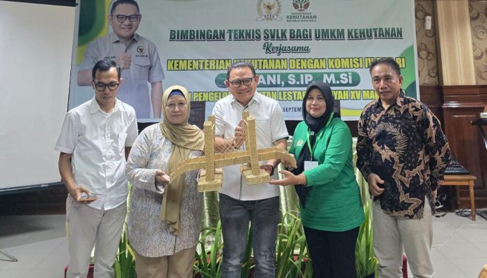 Jaelani Dorong UMKM Sektor Kehutanan di Kendari dan Baubau Naik Kelas Lewat SVLK