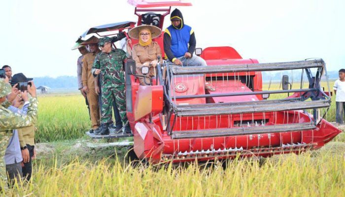 Pemkot Kendari Terima 3 Unit Combine Harvester Bantuan Mentan Amran Sulaiman