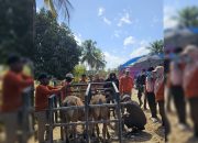 Dinas Peternakan Muna Melaksanakan Pelayanan Kesehatan Hewan dan Vaksin Rabies bagi Hewan Kesayangan