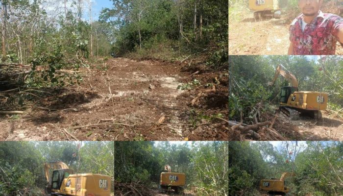 Masyarakat Desa Liabalano Buka Akses Jalan Pertanian Baru, Berharap Pemerintah Beri Perhatian
