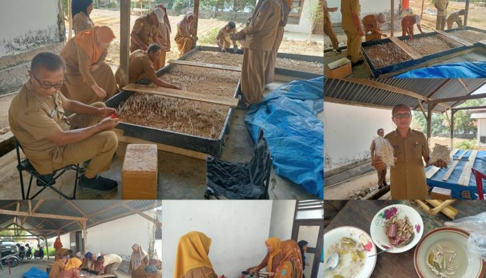 Dinas TPHP Muna Panen Jamur Dikantornya, Diolah jadi Masakan Tradisional Muna